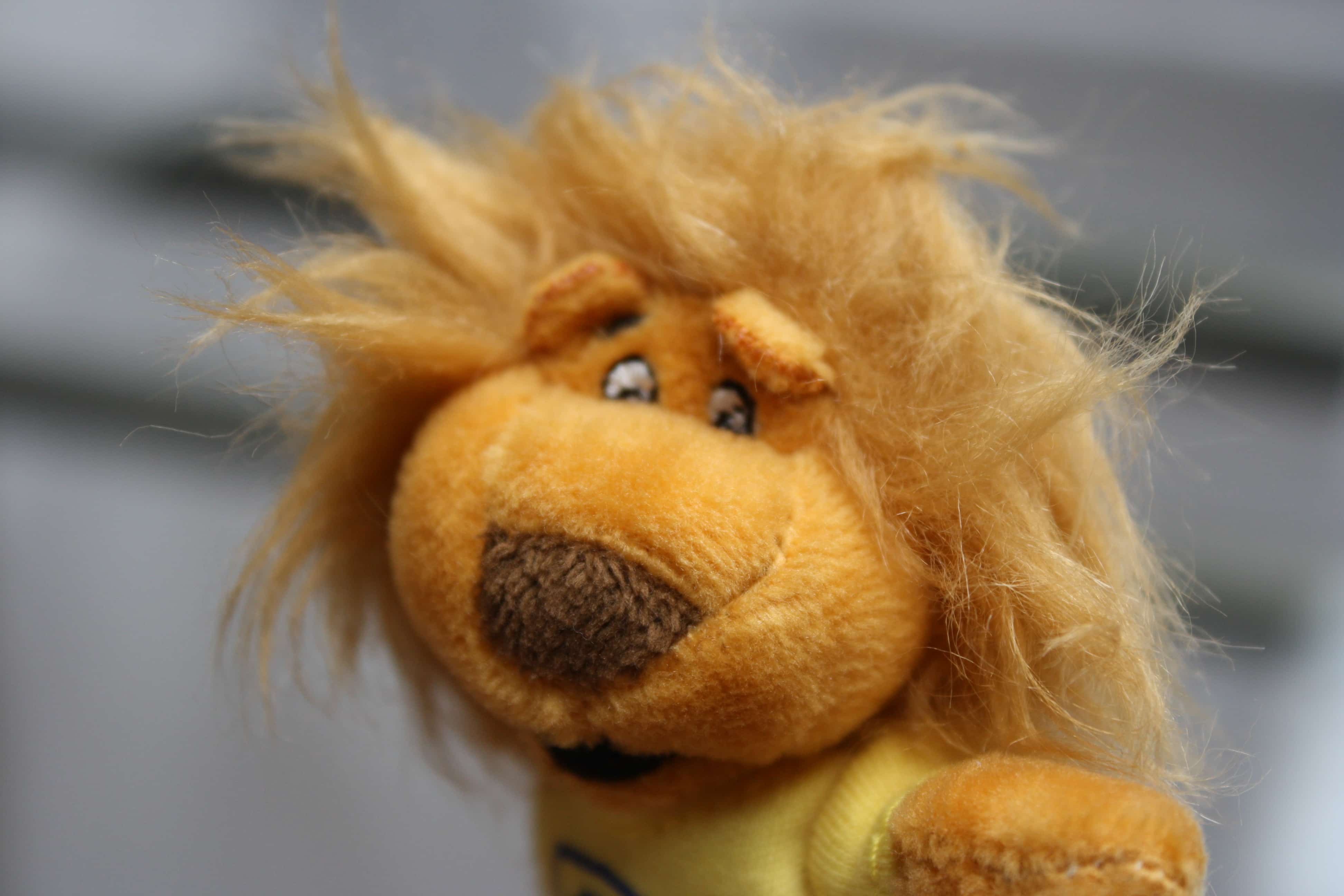 Schlüsselanhänger Maskottchen