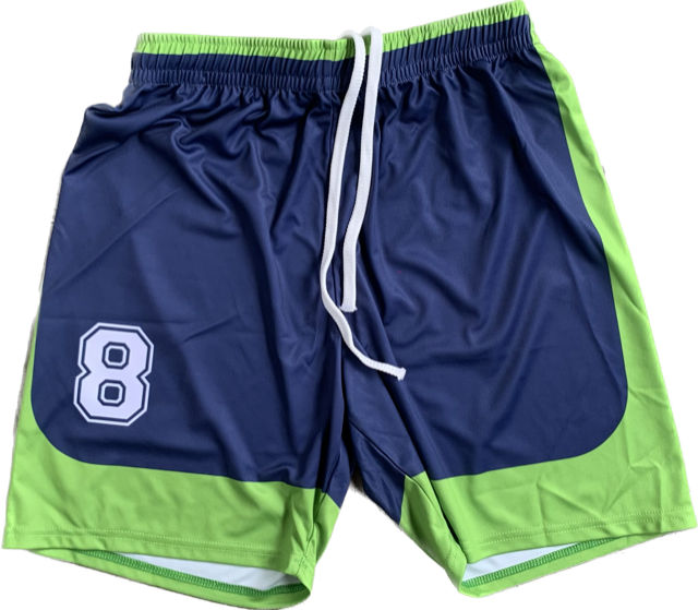 Wende-Short Basketball
