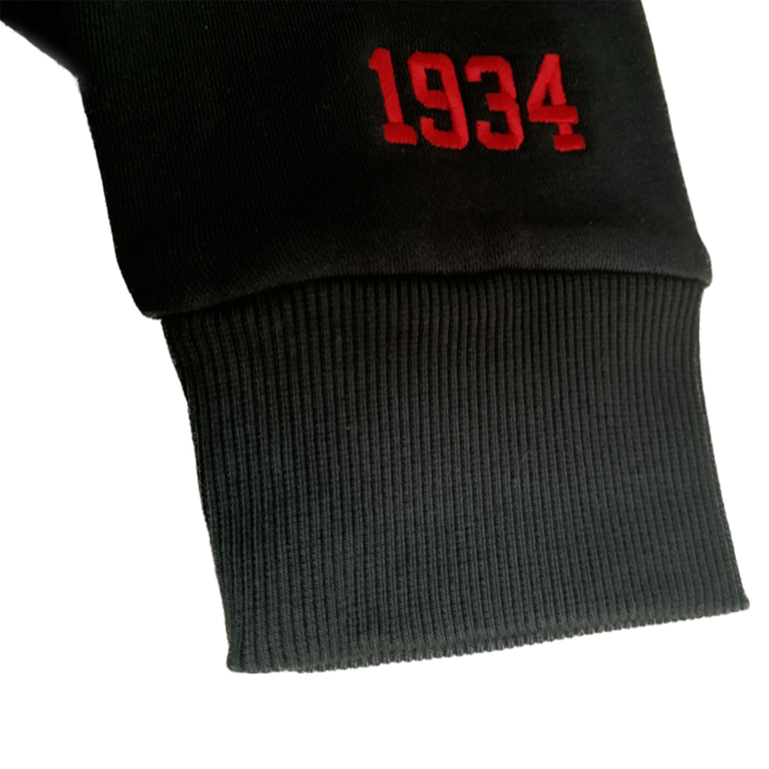 Hoodie Eishockey