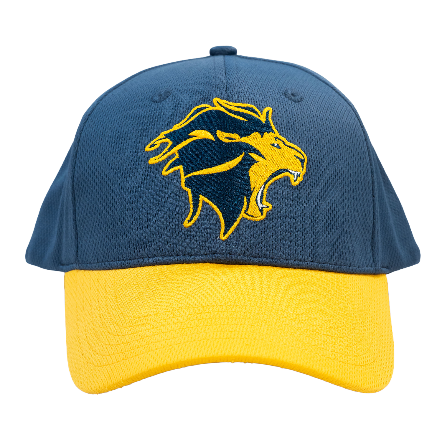 Cap Mesh